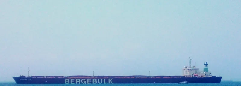 BERGE HUA SHAN Bulk Carrier IMO 9035450