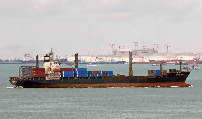 TANTO BERSATU Container Ship IMO 9035515 photo 2