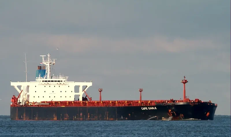 CAPE EAGLE Bulk Carrier IMO 9035589 photo 3