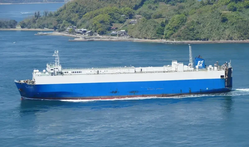DAPITAN BAY 1 General Cargo IMO 9035644
