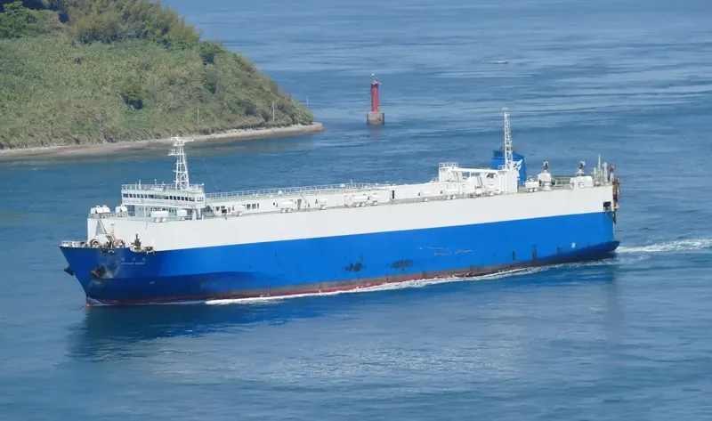DAPITAN BAY 1 General Cargo IMO 9035644 photo 2