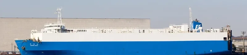 DAPITAN BAY 1 General Cargo IMO 9035644 photo 3