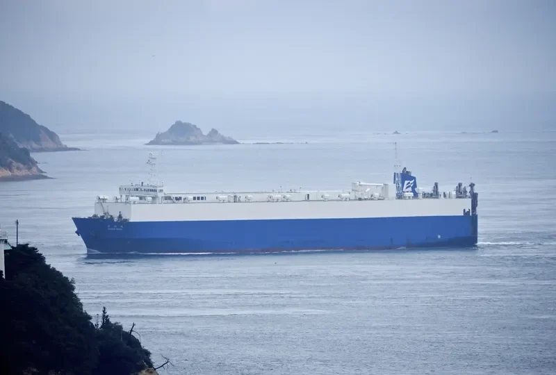 DAPITAN BAY 1 General Cargo IMO 9035644 photo 4