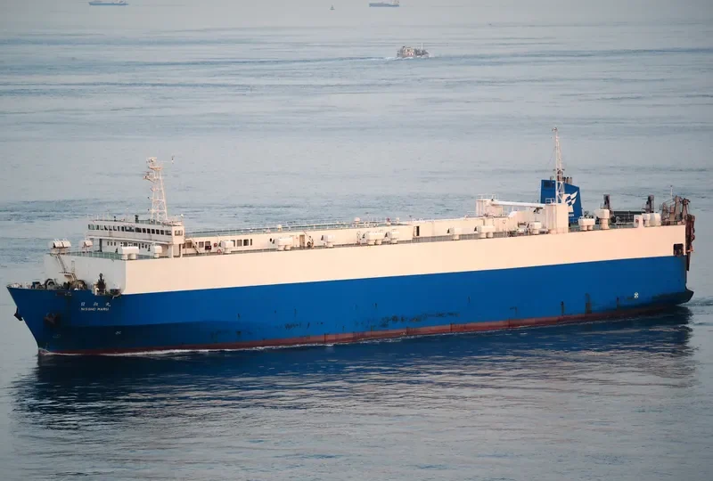 DAPITAN BAY 1 General Cargo IMO 9035644 photo 6
