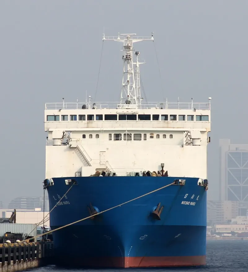 DAPITAN BAY 1 General Cargo IMO 9035644 photo 7