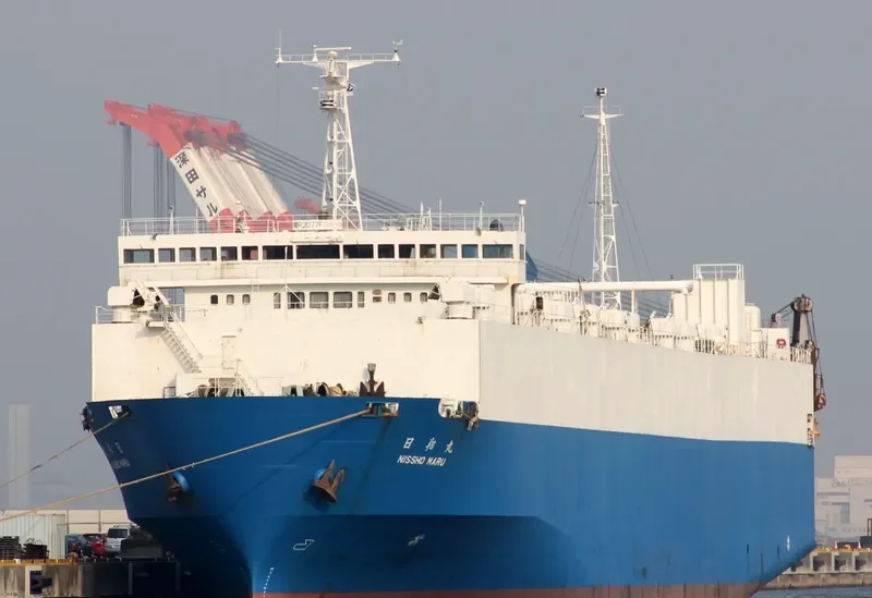 DAPITAN BAY 1 General Cargo IMO 9035644 photo 8