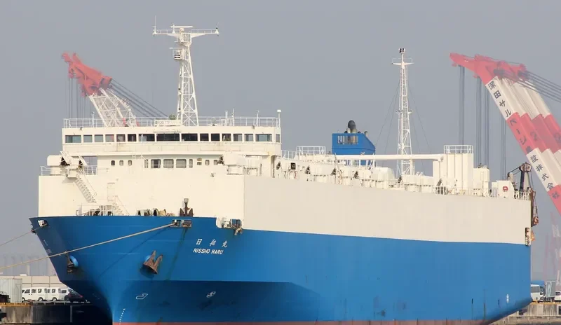 DAPITAN BAY 1 General Cargo IMO 9035644 photo 9