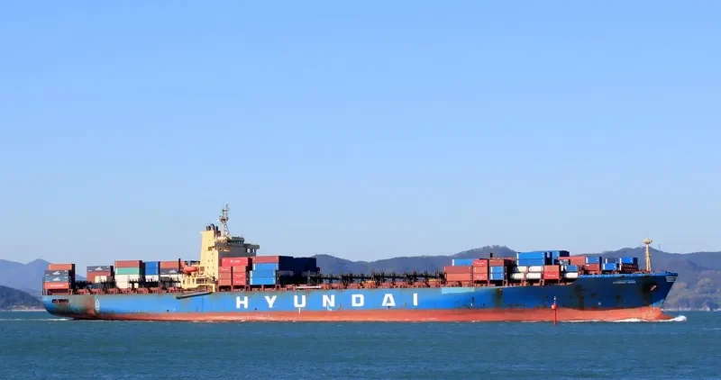 DUKA Container Ship IMO 9035993 photo 5