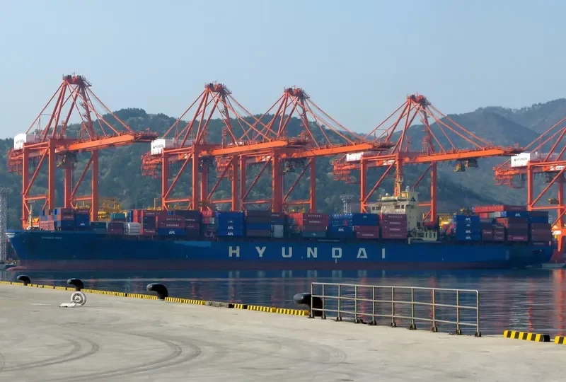 DUKA Container Ship IMO 9035993 photo 9
