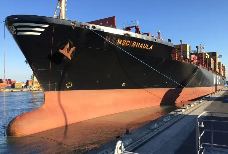 MSC SHAULA Container Ship IMO 9036002