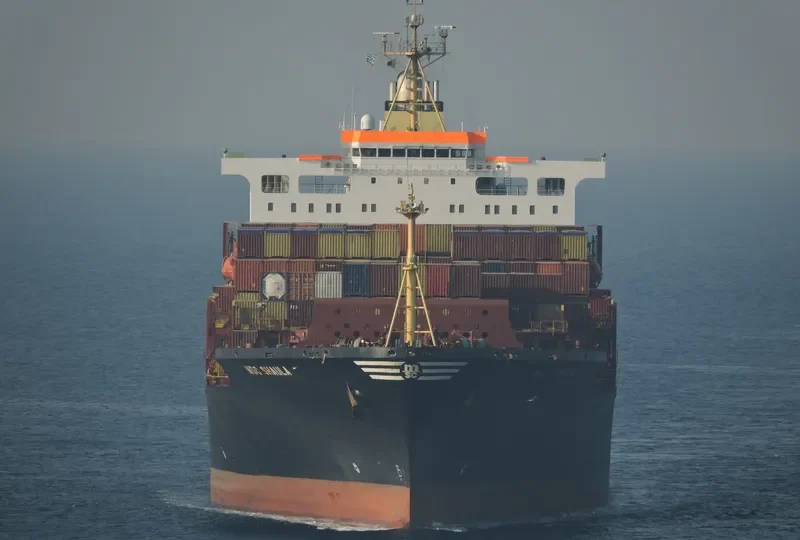 MSC SHAULA Container Ship IMO 9036002 photo 2