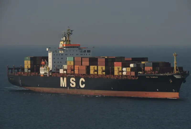 MSC SHAULA Container Ship IMO 9036002 photo 3