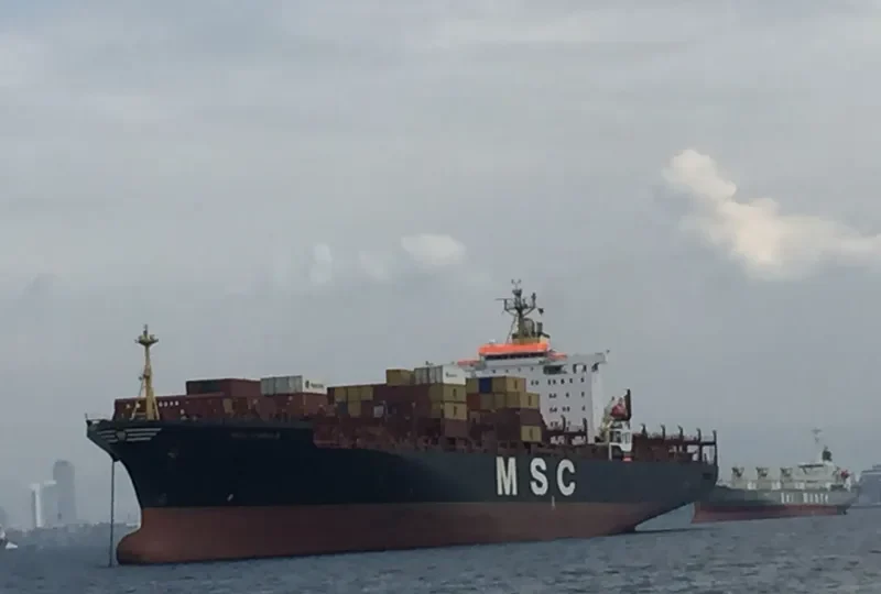 MSC SHAULA Container Ship IMO 9036002 photo 8