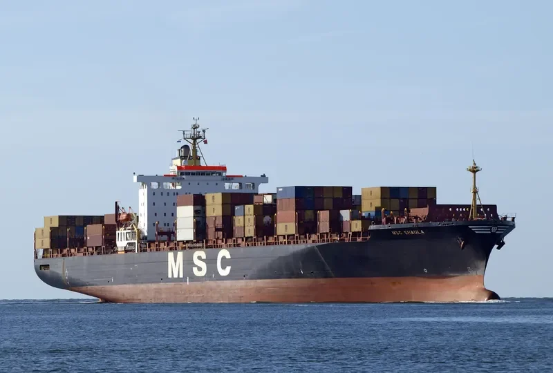MSC SHAULA Container Ship IMO 9036002 photo 10