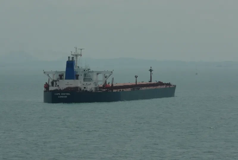 KESTREL I Bulk Carrier IMO 9036014