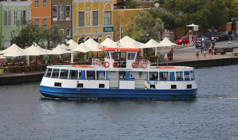 NC 9F Passenger Ship IMO 9036064 photo 3
