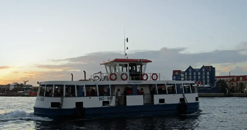 NC 9F Passenger Ship IMO 9036064 photo 6