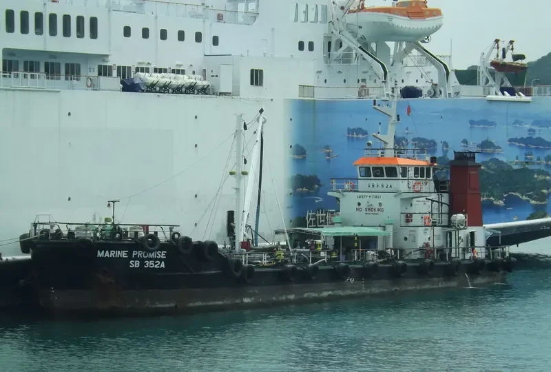 PROMISE General Cargo IMO 9036155 photo 2