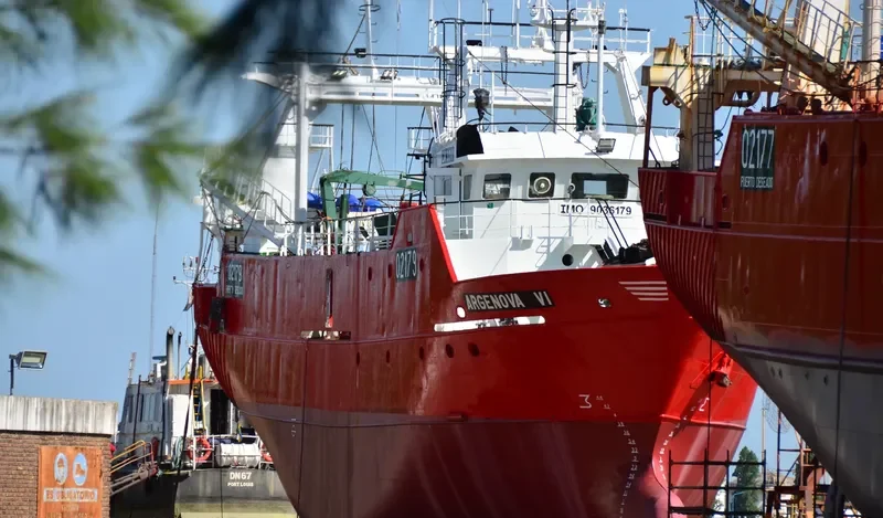 ARGENOVA VI General Cargo IMO 9036179 photo 4