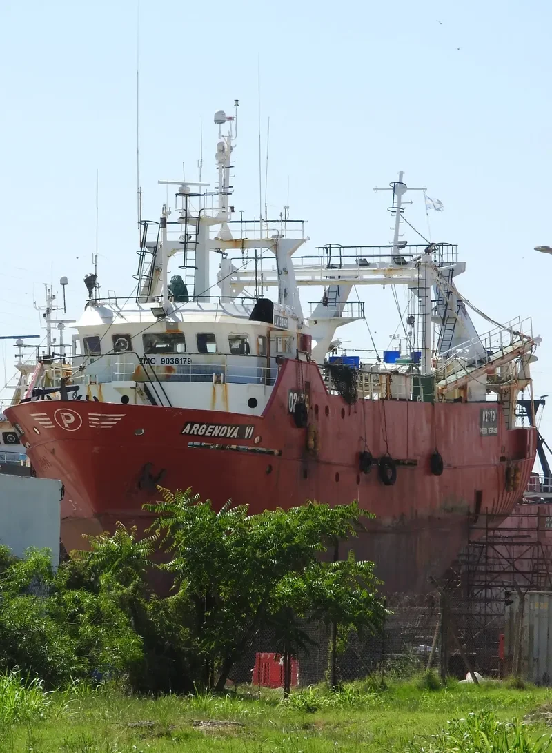 ARGENOVA VI General Cargo IMO 9036179 photo 6
