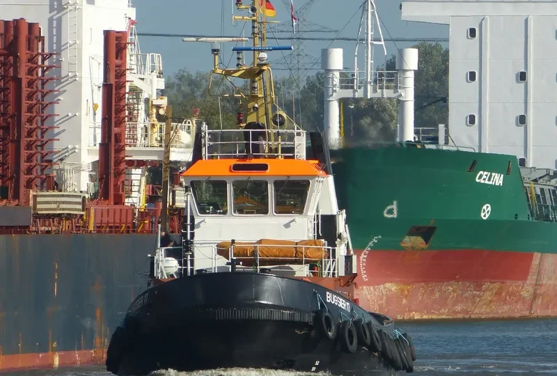 BUGSIER 17 General Cargo IMO 9036234 photo 5