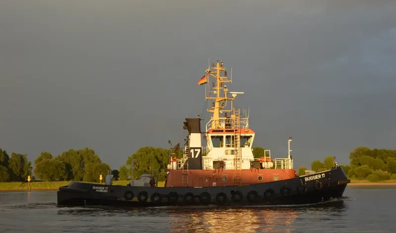 BUGSIER 17 General Cargo IMO 9036234 photo 8
