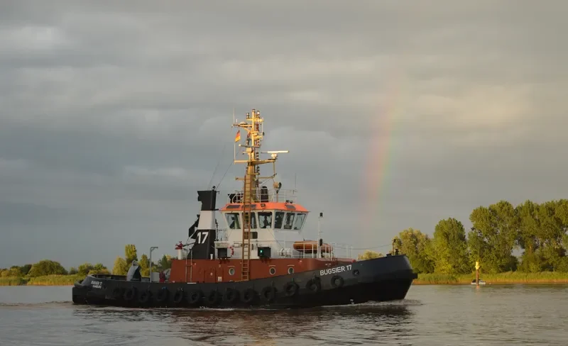 BUGSIER 17 General Cargo IMO 9036234 photo 9