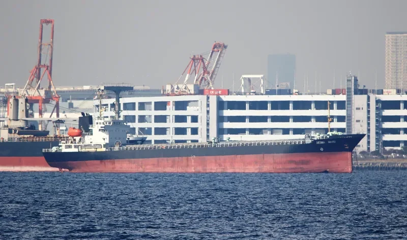 HEIWA MARU General Cargo IMO 9036349 photo 7