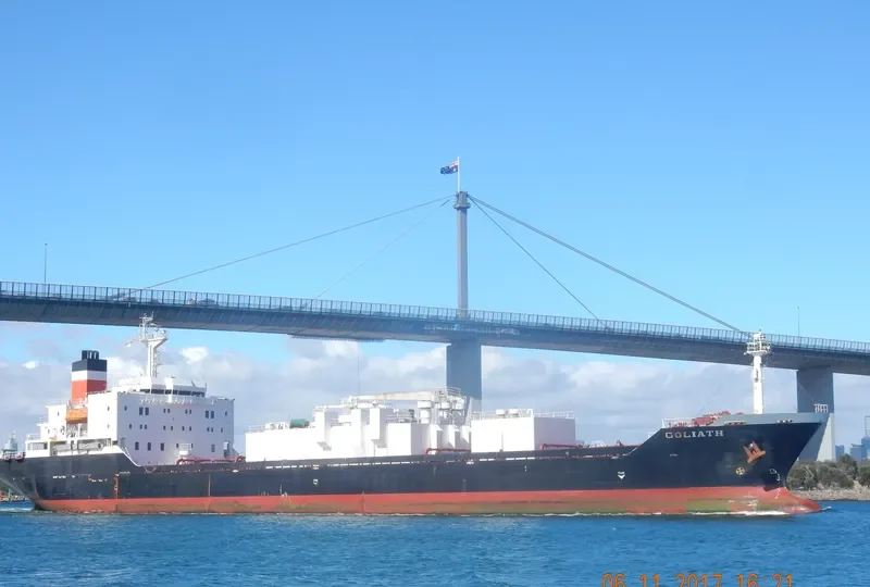 GOLIATH General Cargo IMO 9036430