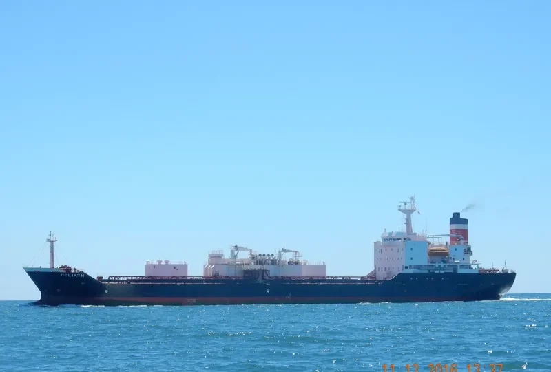 GOLIATH General Cargo IMO 9036430 photo 5