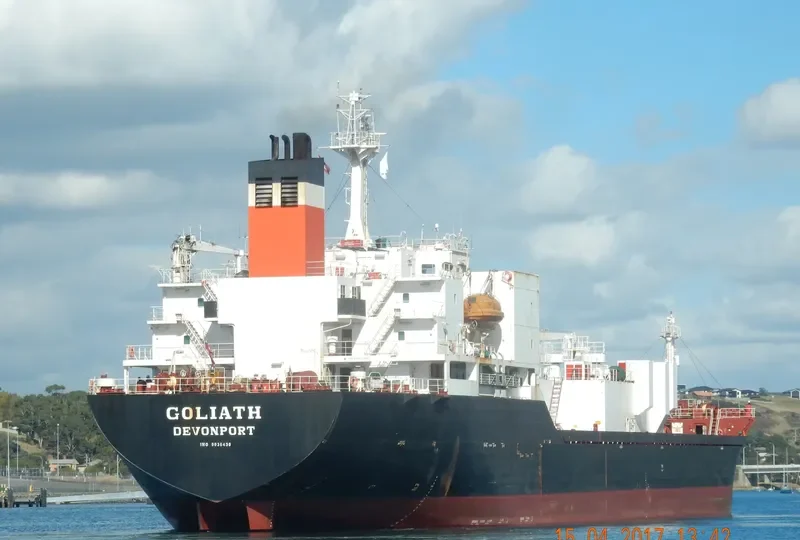 GOLIATH General Cargo IMO 9036430 photo 6