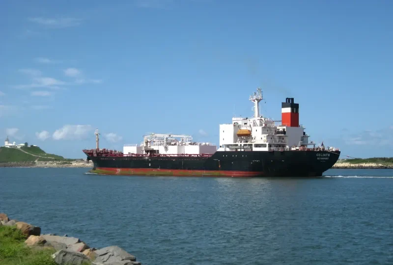 GOLIATH General Cargo IMO 9036430 photo 8