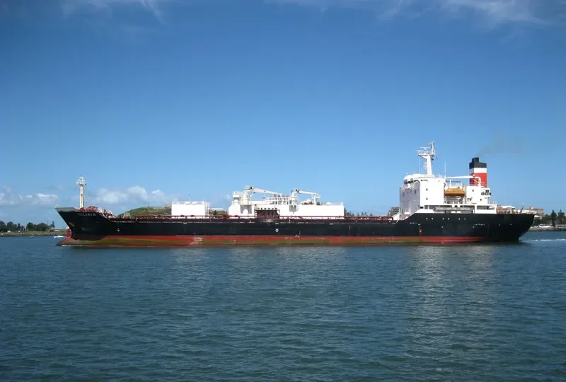 GOLIATH General Cargo IMO 9036430 photo 9