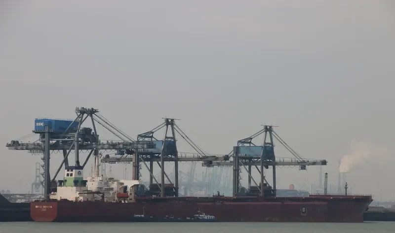 BERGE BUREYA Bulk Carrier IMO 9036454 photo 5
