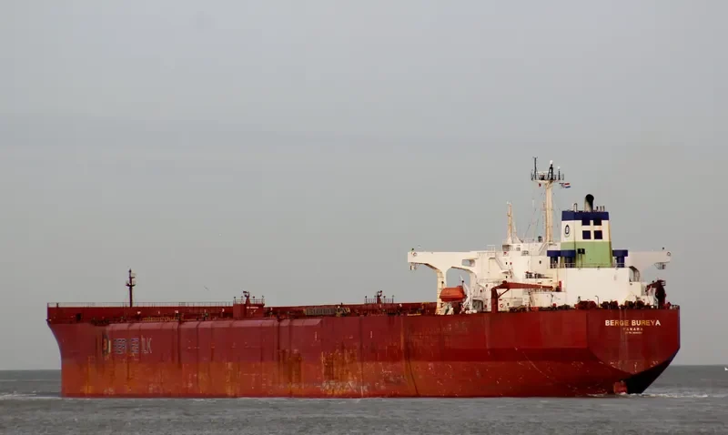 BERGE BUREYA Bulk Carrier IMO 9036454 photo 6