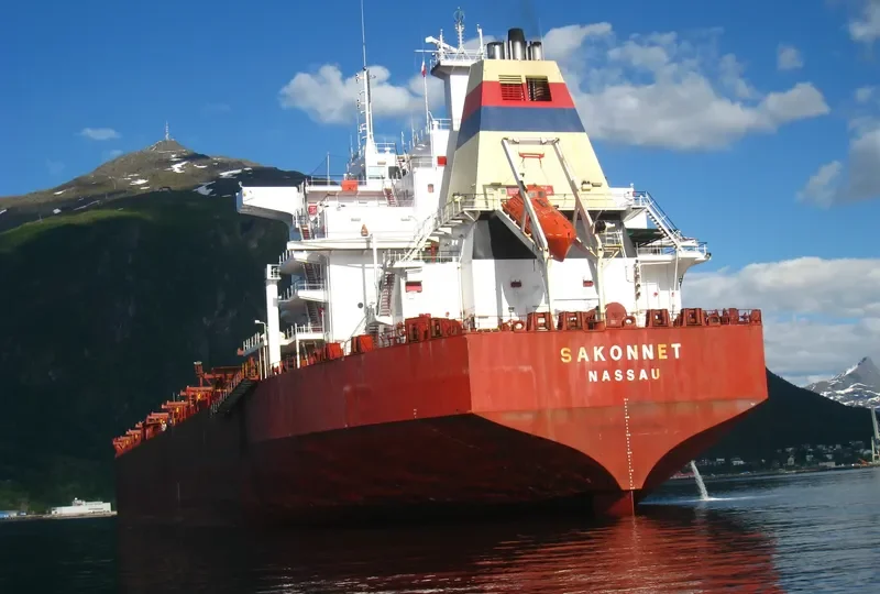 SARASWATI Tanker IMO 9036507 photo 10