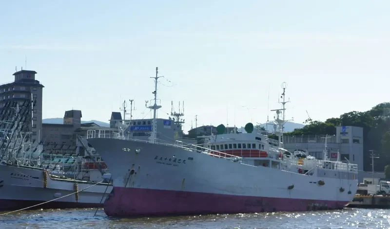TATSUMI MARU NO.57 General Cargo IMO 9036612 photo 2