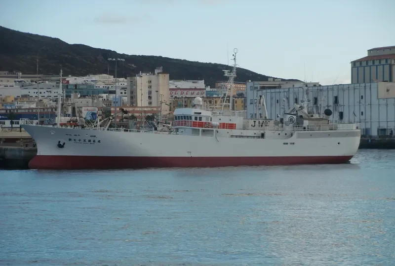TAIYO MARU NO.88 General Cargo IMO 9036703 photo 2
