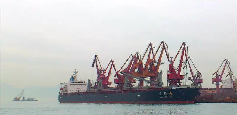 DONG JIANG HAI Bulk Carrier IMO 9036791