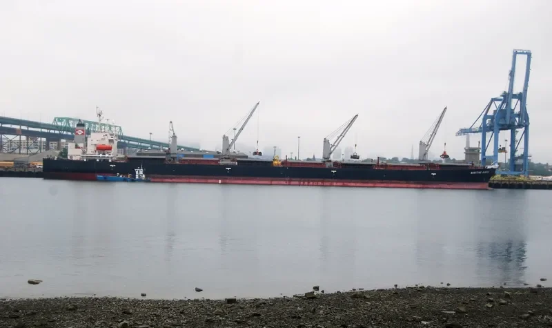 SHUN FENG 9 Bulk Carrier IMO 9036806 photo 8