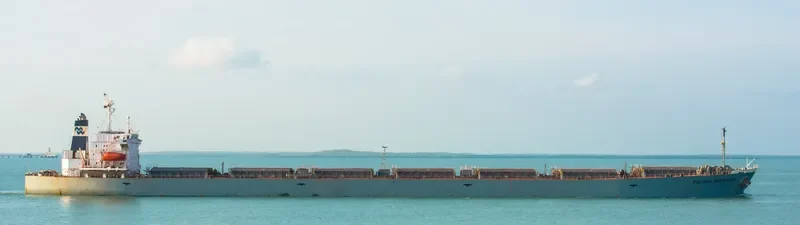 PACIFIC PROSPECT Bulk Carrier IMO 9036818