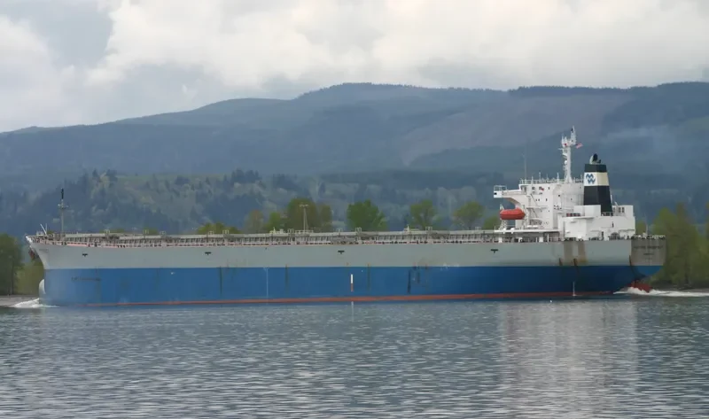 PACIFIC PROSPECT Bulk Carrier IMO 9036818 photo 7