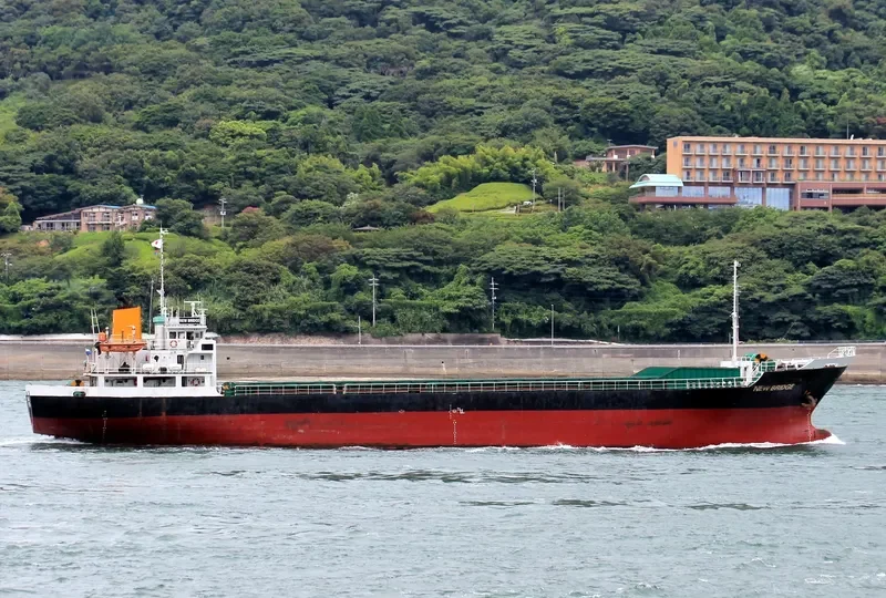 ORIENT SUNSHINE General Cargo IMO 9036882 photo 2