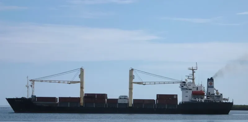 BARUNA BUDI Container Ship IMO 9037240 photo 2