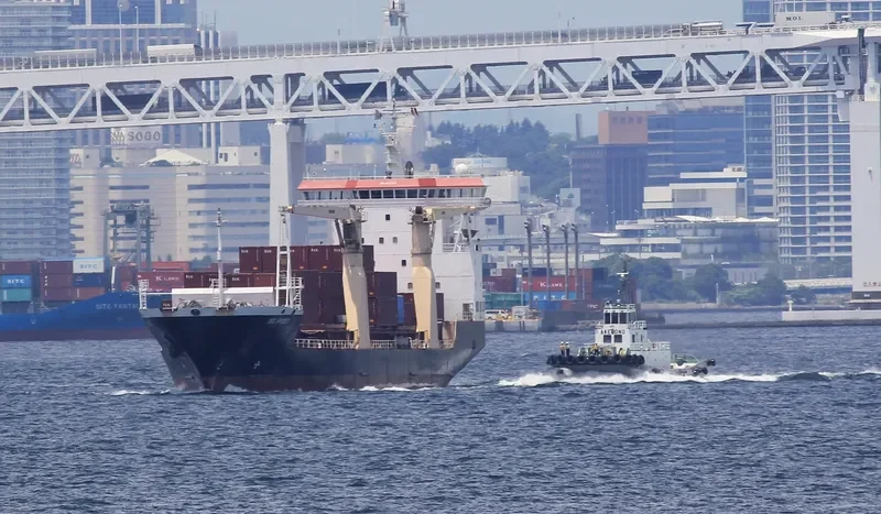 JI RUN Container Ship IMO 9037252 photo 3