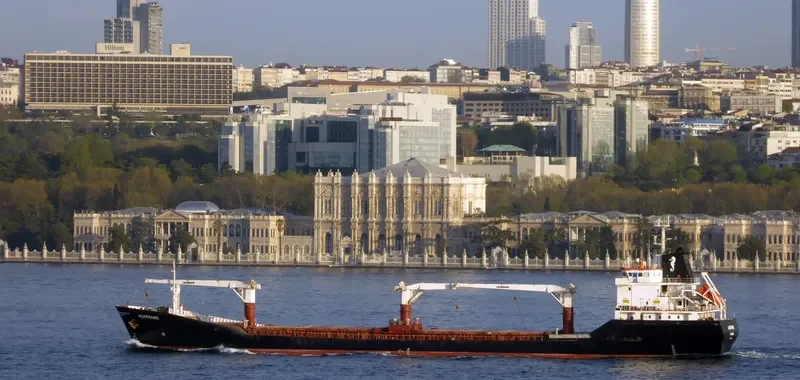 BEATA General Cargo IMO 9037276 photo 6