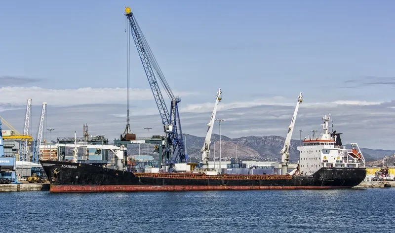BEATA General Cargo IMO 9037276 photo 8