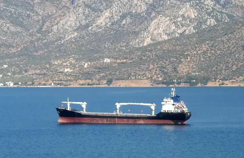 ISIK 2 General Cargo IMO 9037288 photo 6
