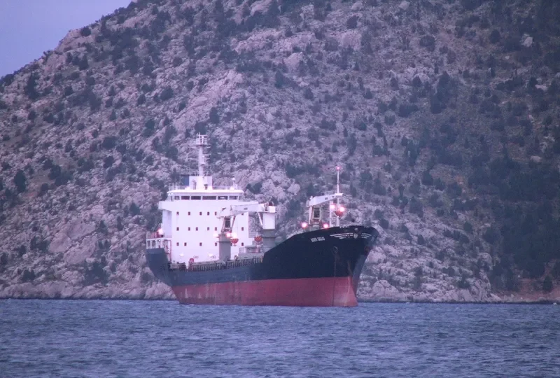 ISIK 2 General Cargo IMO 9037288 photo 10