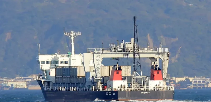 CHAI WAN Container Ship IMO 9037496 photo 2